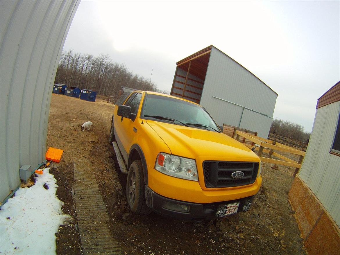 Ford F 150 FX4 billede 4