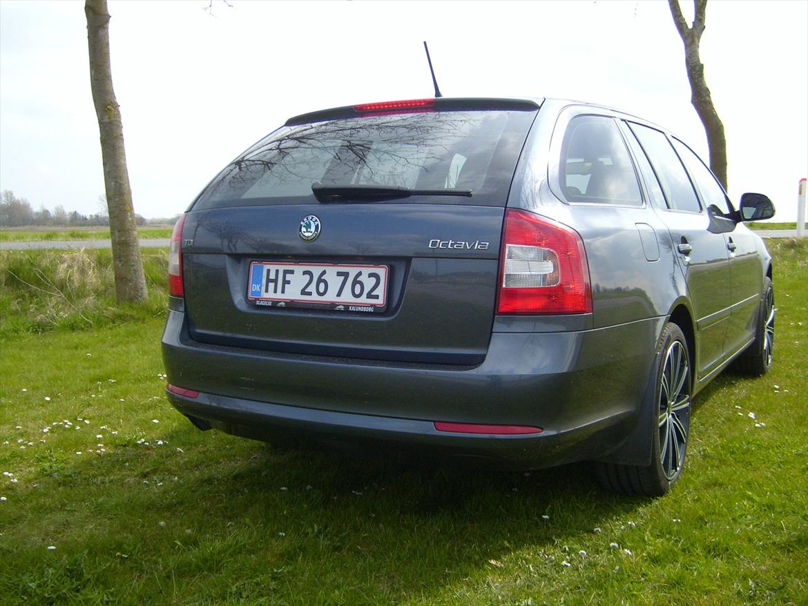 Skoda Octavia 1,6 TDi cr. Combi Ambition billede 6