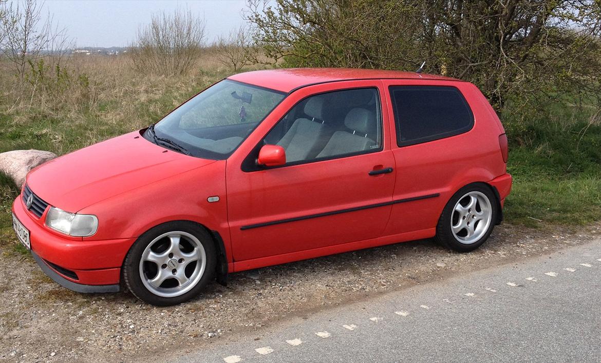 VW Polo 6n - sådan sku den gerne se ud :) billede 7