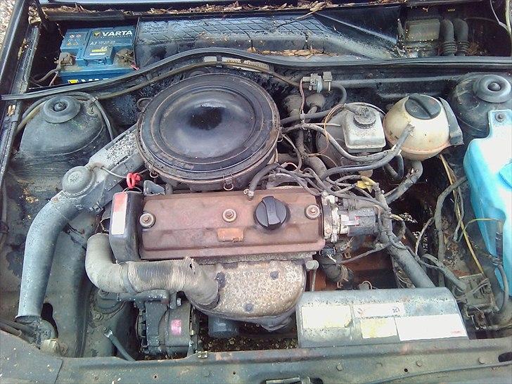 VW Polo gl  billede 3