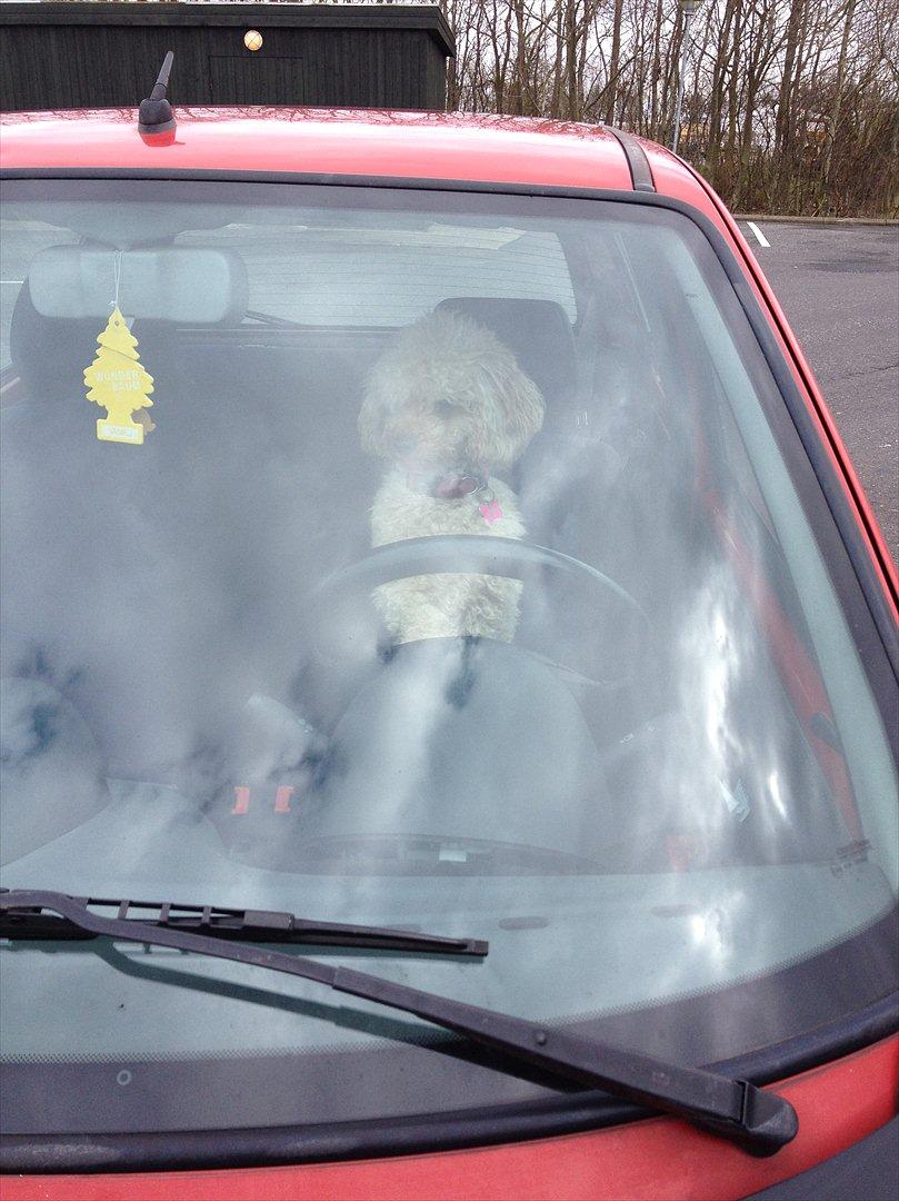 Fiat seicento sporting solgt billede 15