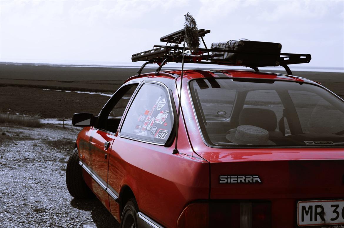 Ford Sierra - Gertrud der studerer udsigten over Vadehavet  billede 1