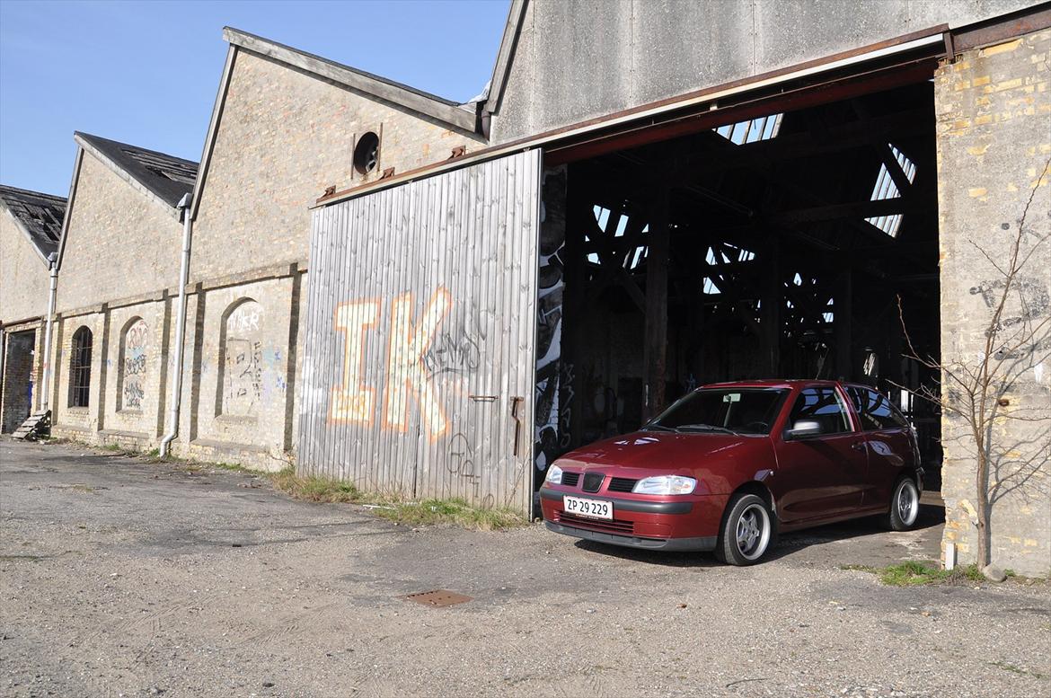 Seat Ibiza billede 2