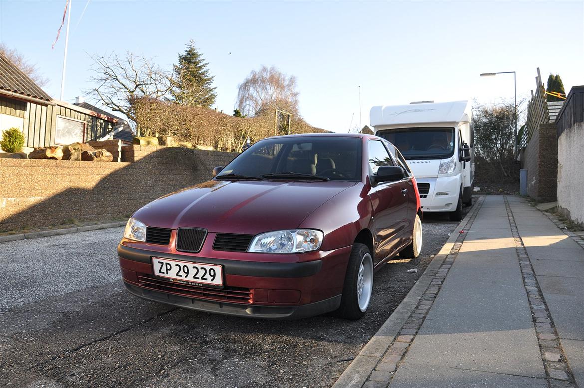 Seat Ibiza billede 10