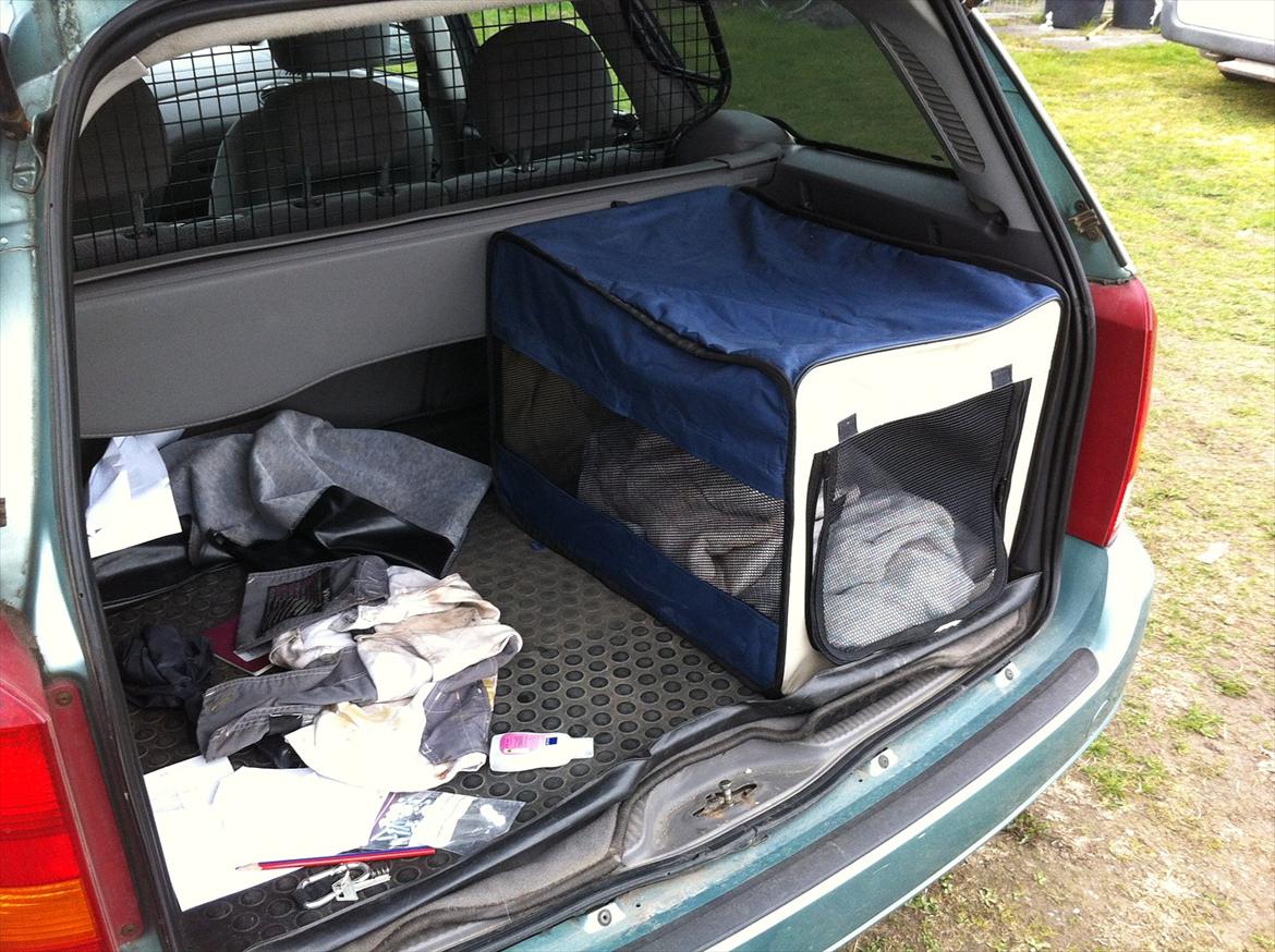 Ford focus - tilsalg billede 7