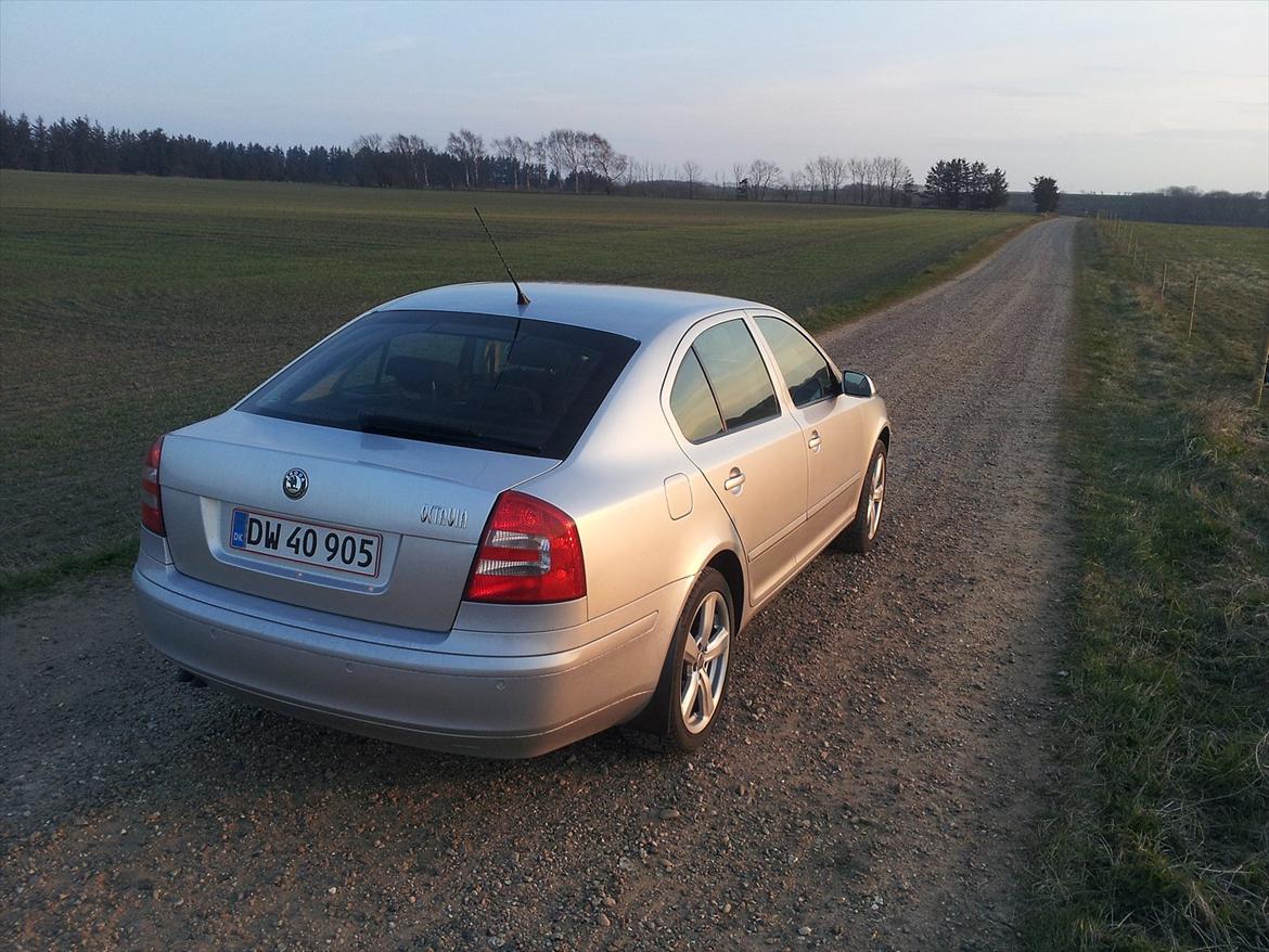 Skoda Octavia TDI billede 13