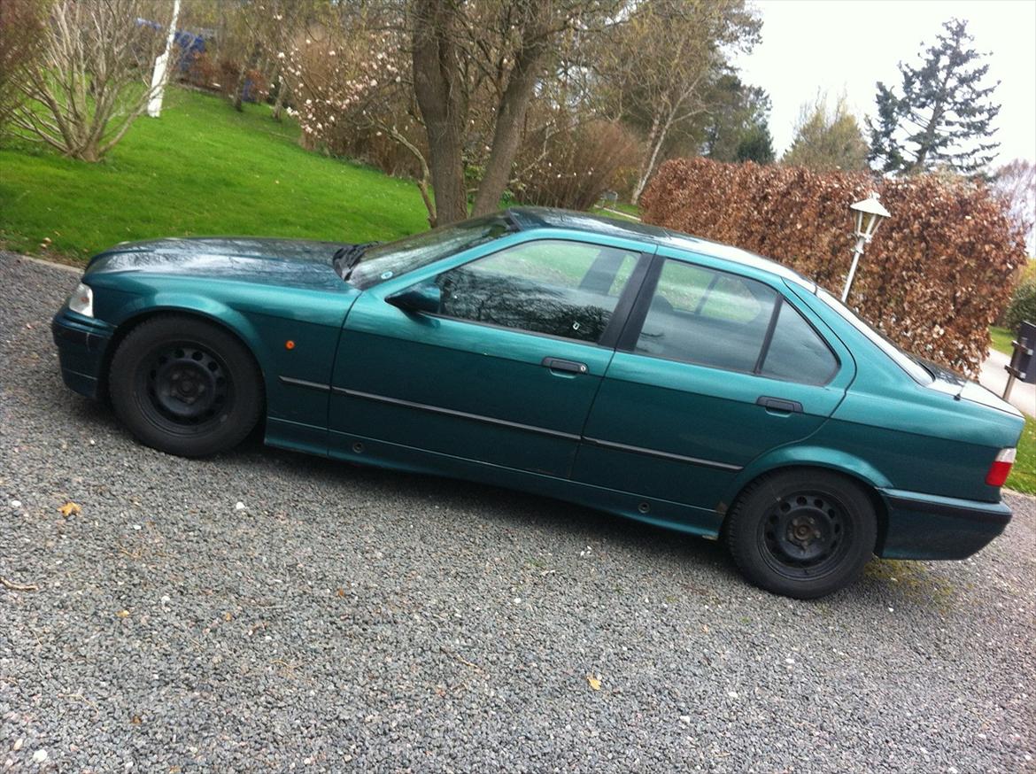 BMW e36 316i sedan billede 2