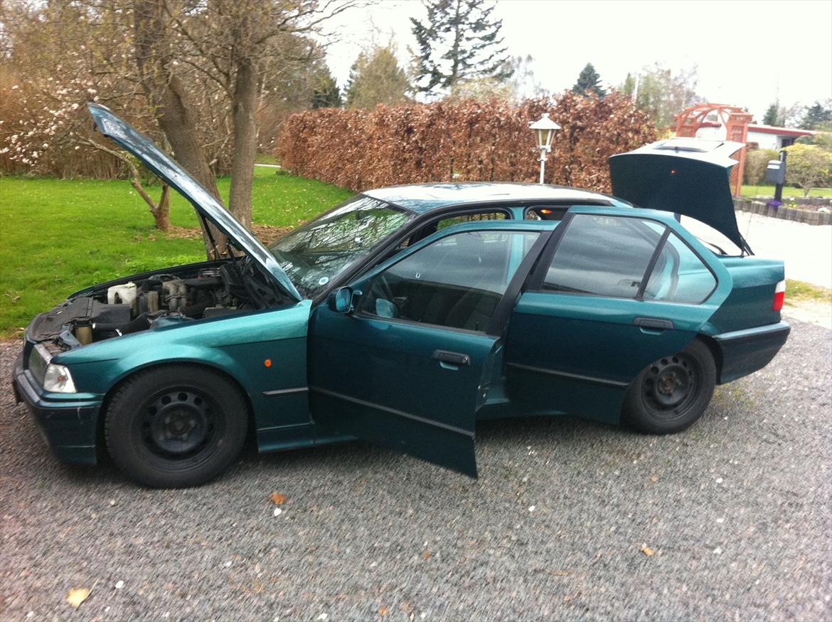 BMW e36 316i sedan billede 12