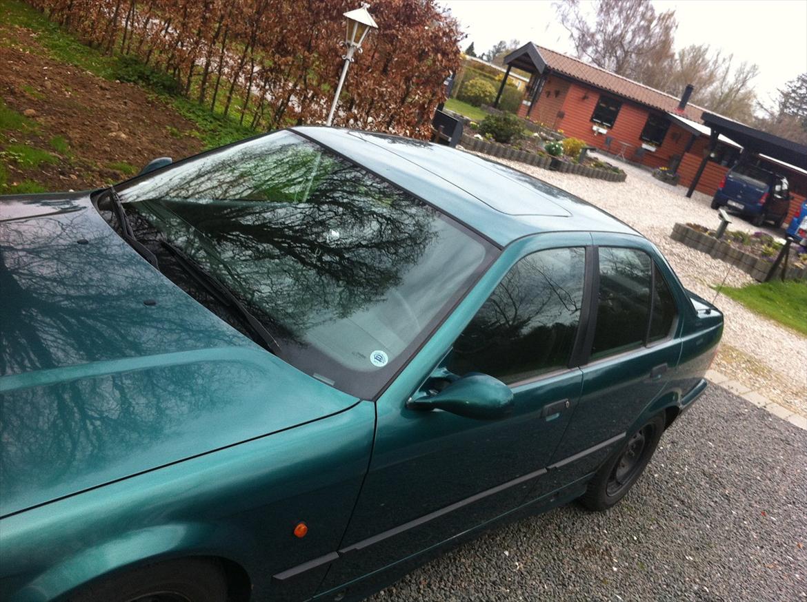 BMW e36 316i sedan billede 14