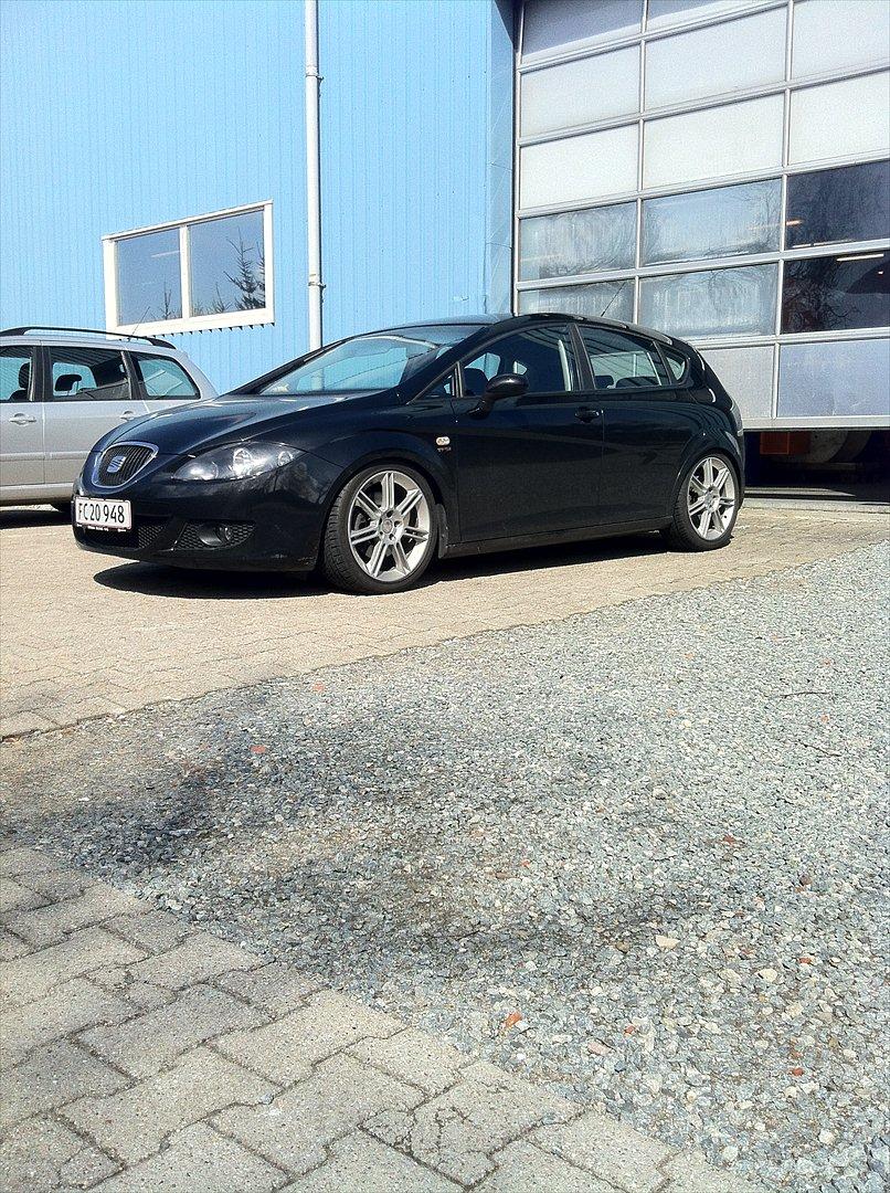 Seat Leon " MYGGEN" billede 10