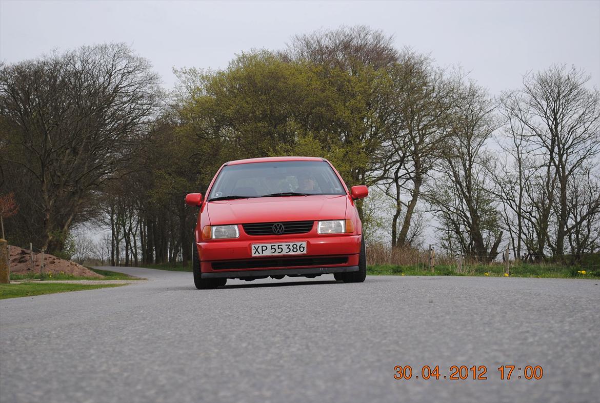 VW polo 6n  billede 7