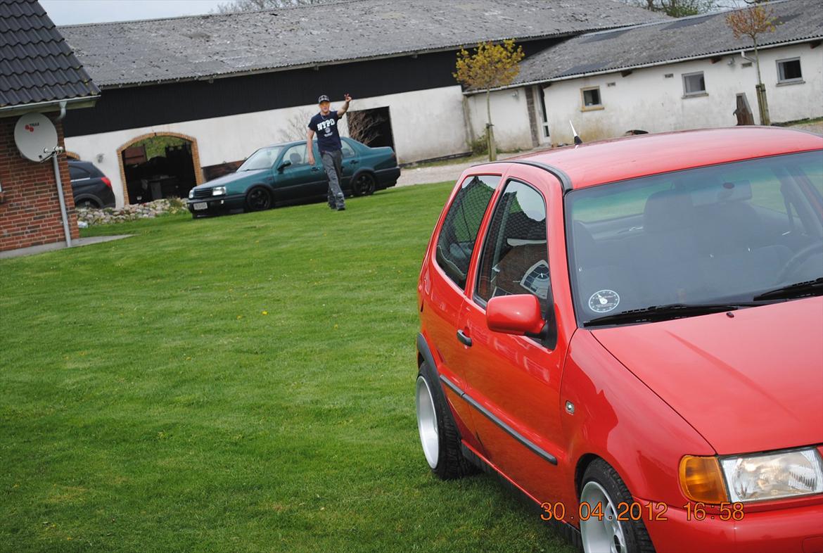 VW polo 6n  billede 9