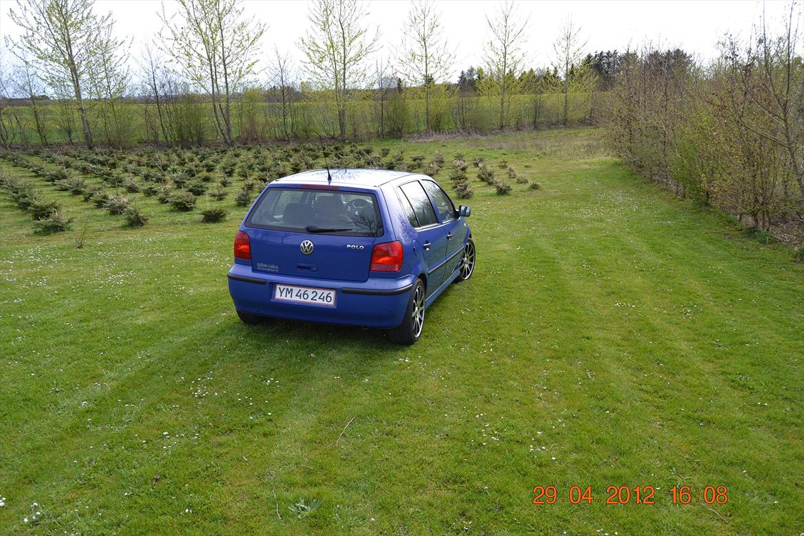 VW Polo 6n2 billede 11