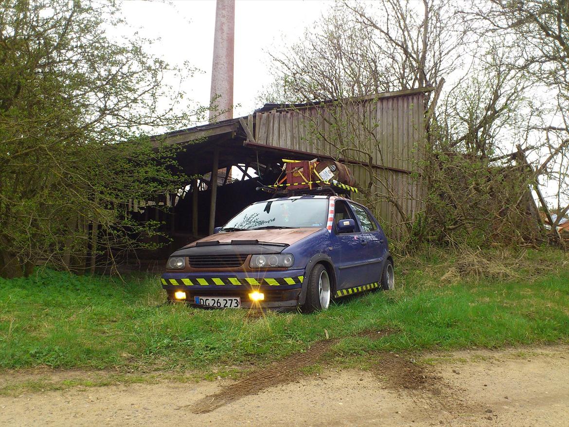 VW Polo 6n (Rotten)  billede 10