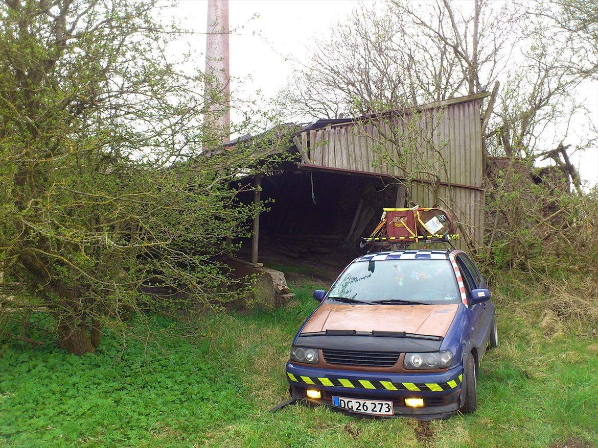 VW Polo 6n (Rotten)  billede 20