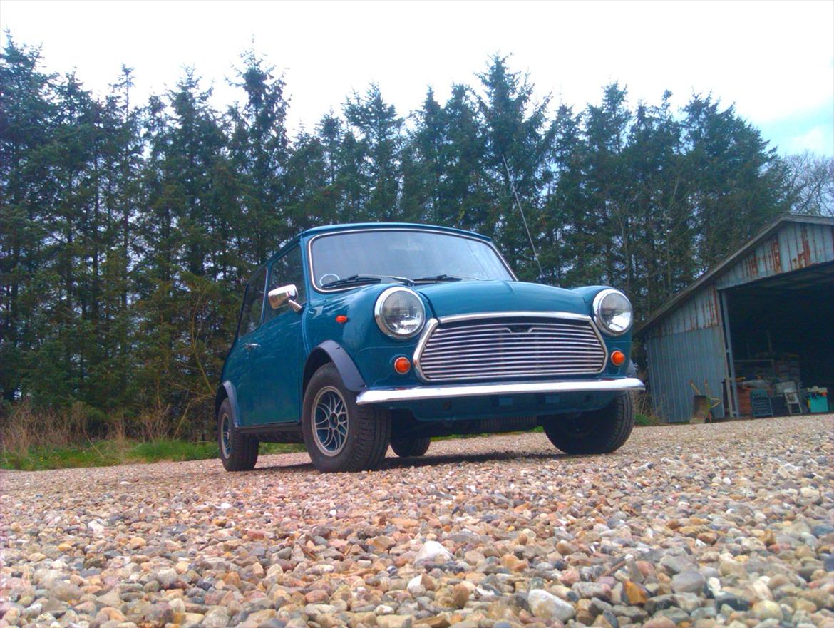 Mini morris mascot billede 1