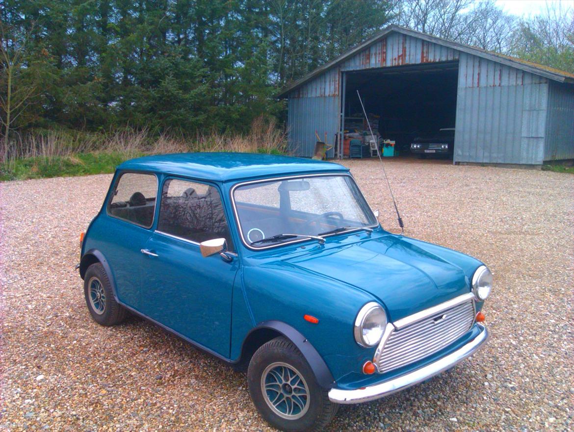 Mini morris mascot billede 2