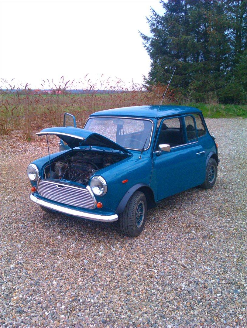 Mini morris mascot billede 5