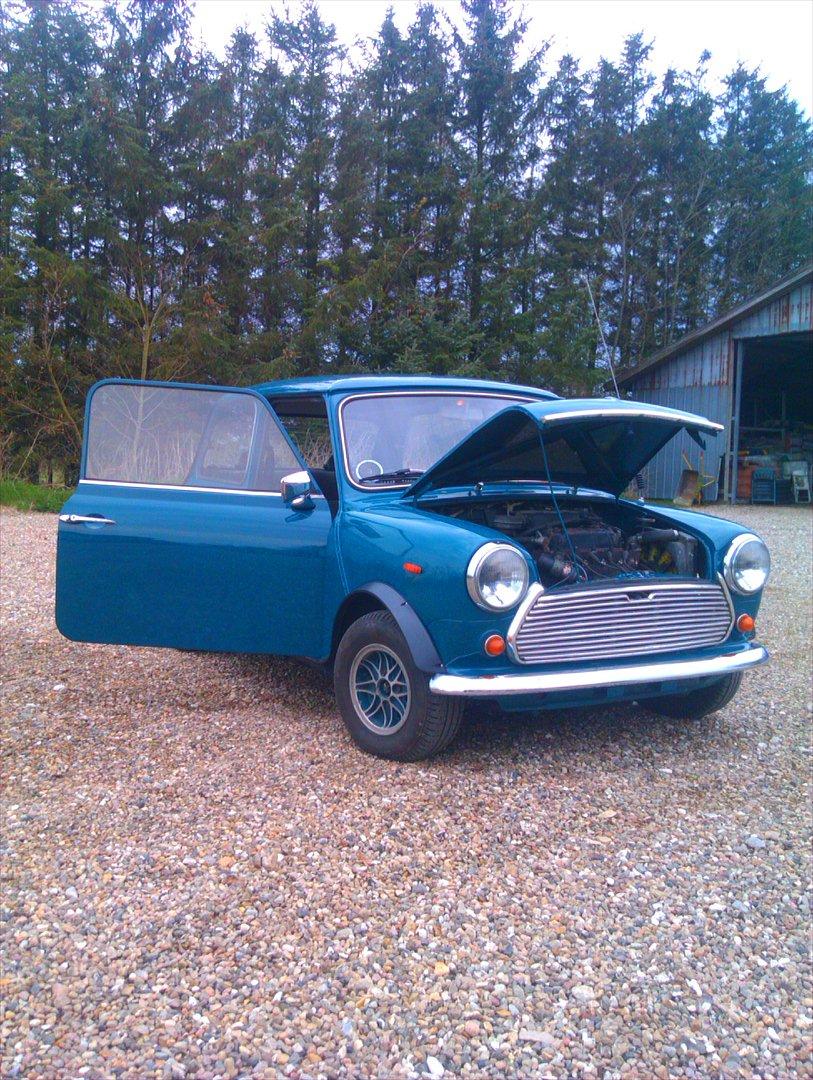 Mini morris mascot billede 6