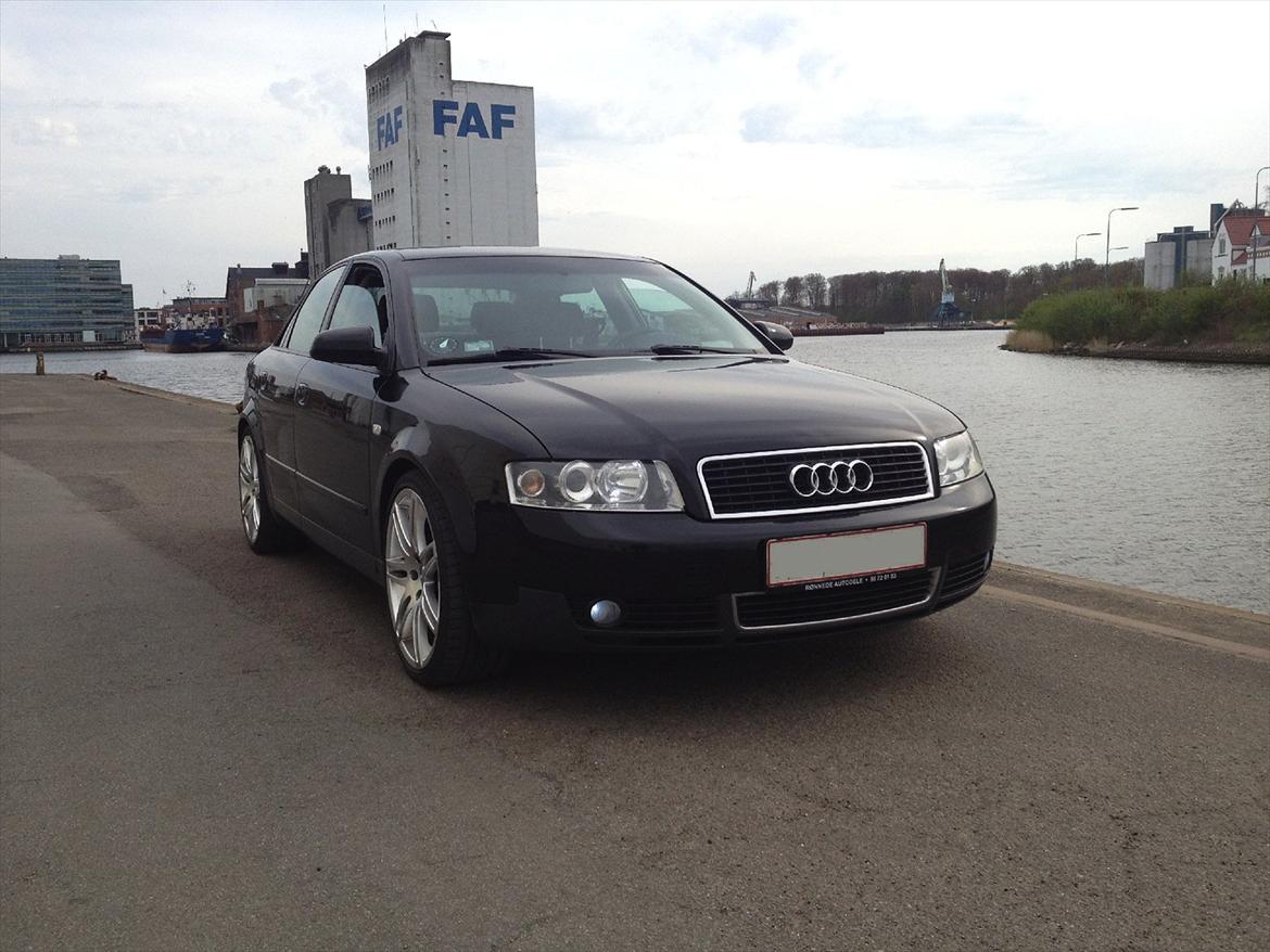 Audi A4 B6 billede 2