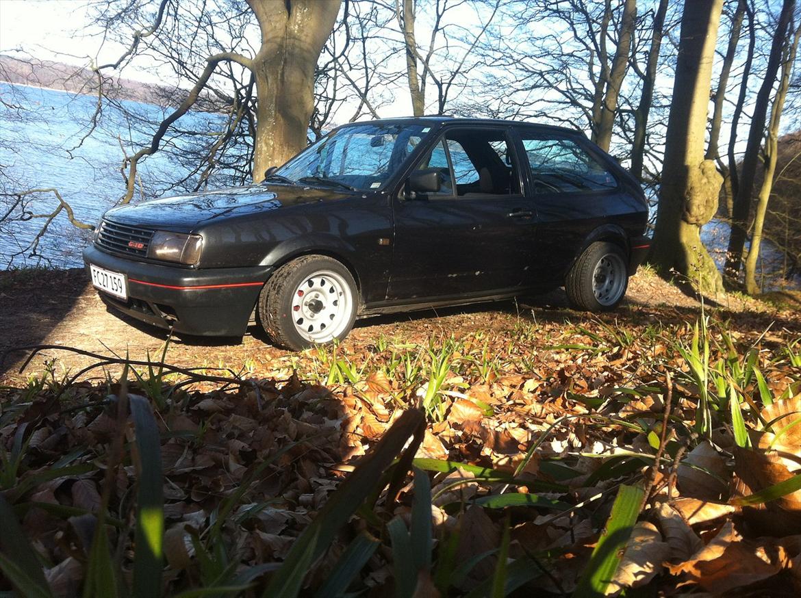 VW Polo G40 billede 15
