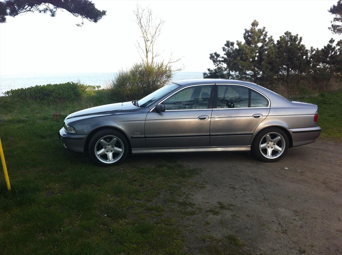 BMW 523i billede 8