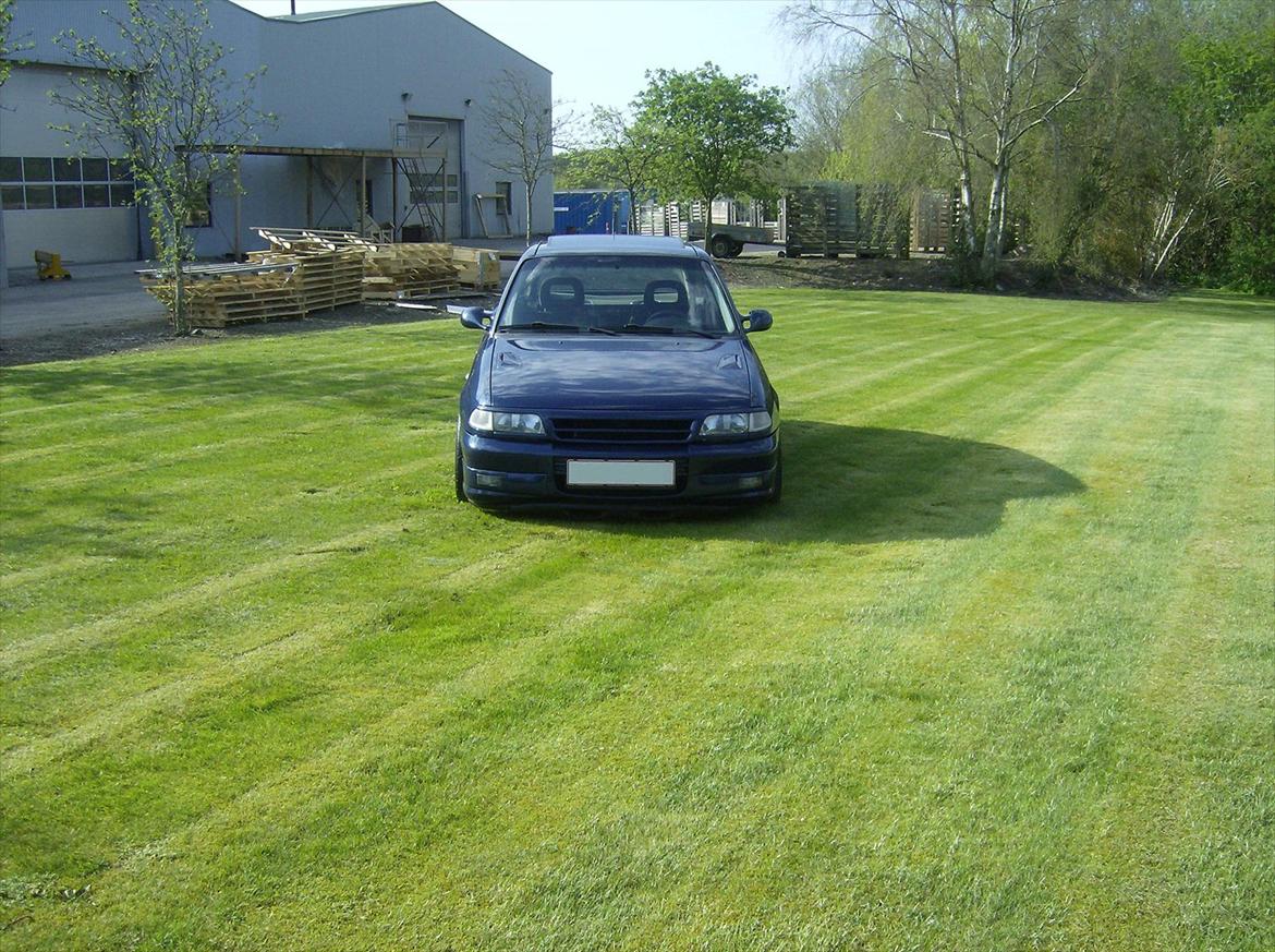 Opel Astra F 2.0 gsi billede 2