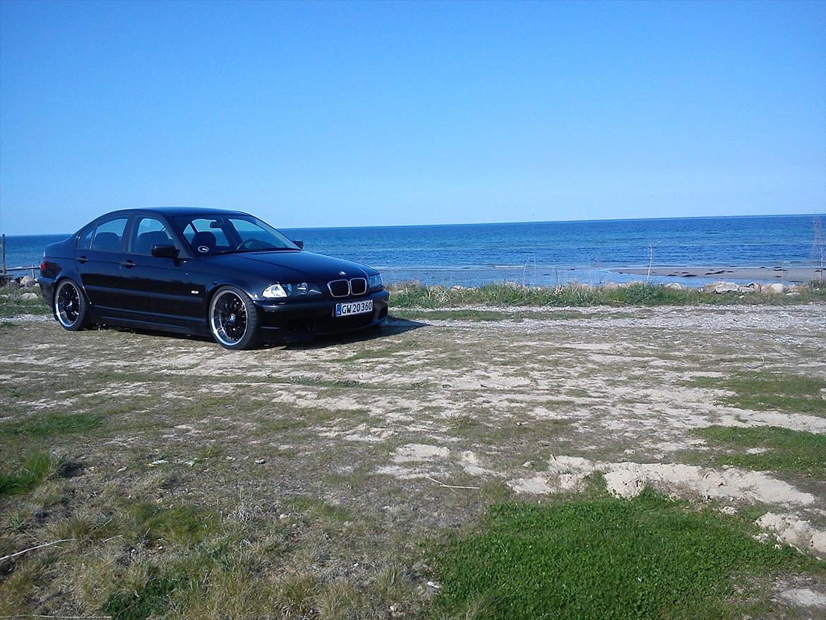 BMW e46 320d billede 2