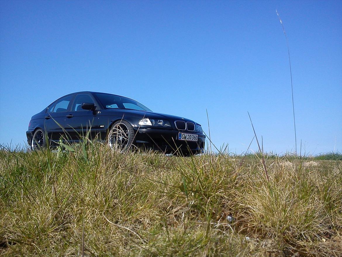 BMW e46 320d billede 4