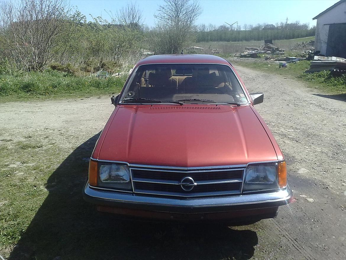 Opel commodore berlina billede 1