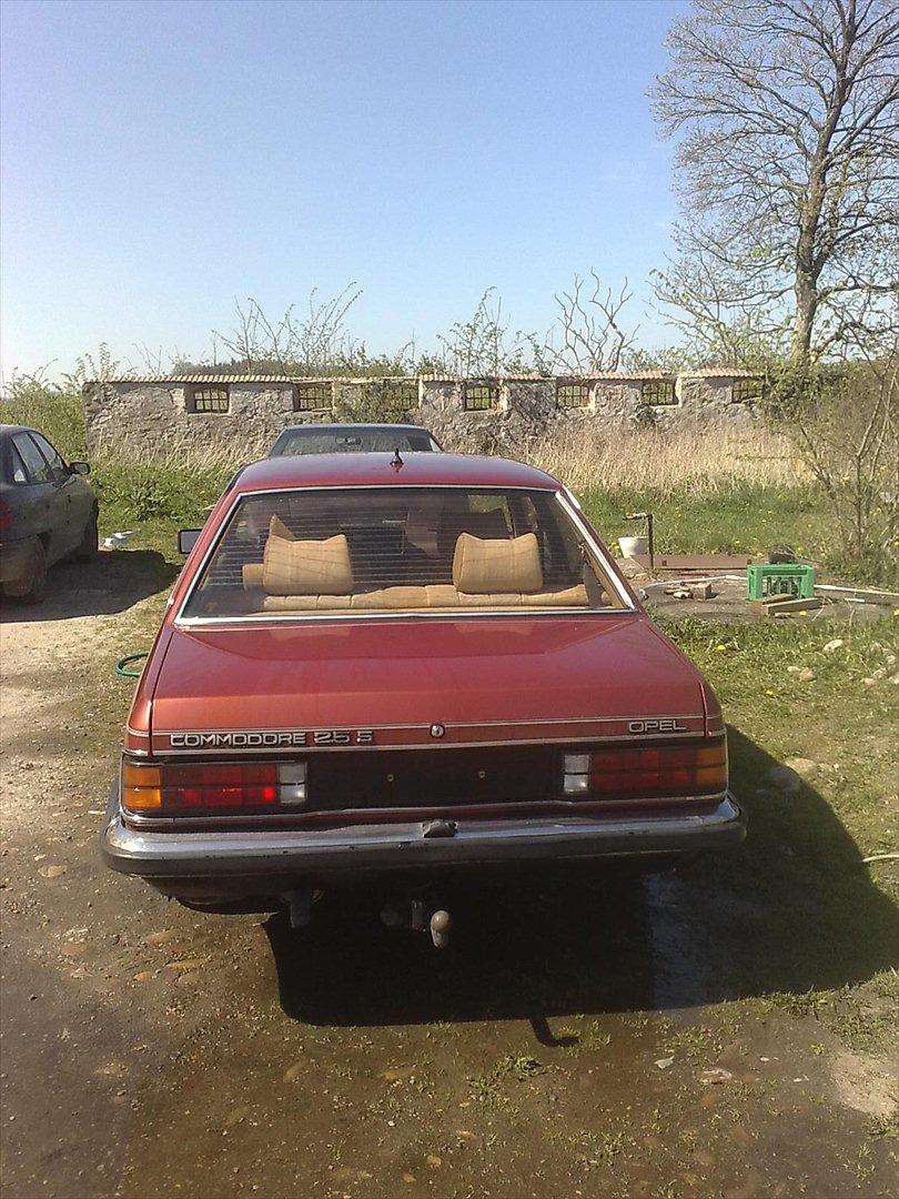 Opel commodore berlina billede 5