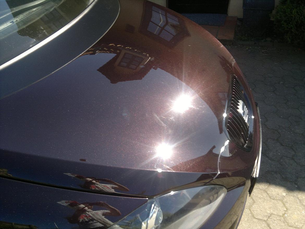 Seat Leon Cupra (solgt) - lige et billede af det lilla skær lakken har billede 10