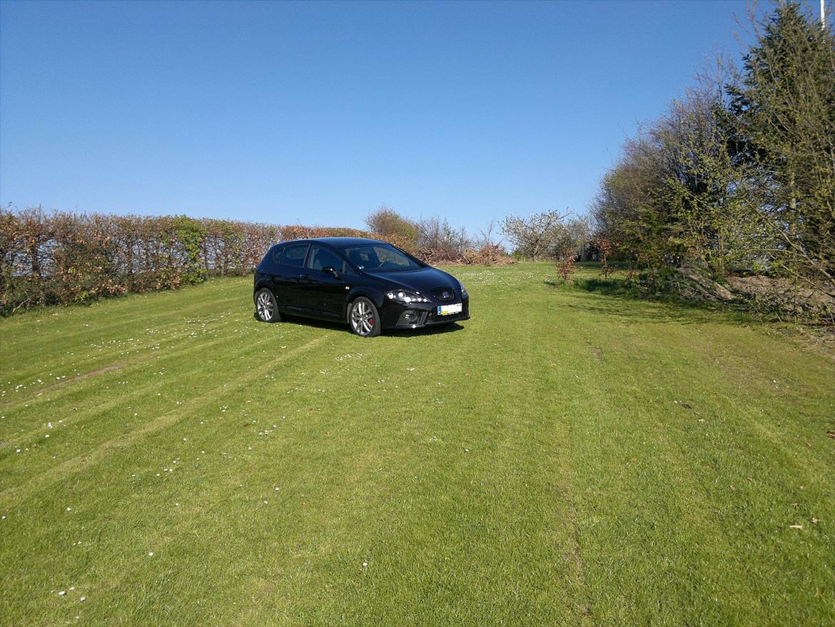 Seat Leon Cupra (solgt) billede 11