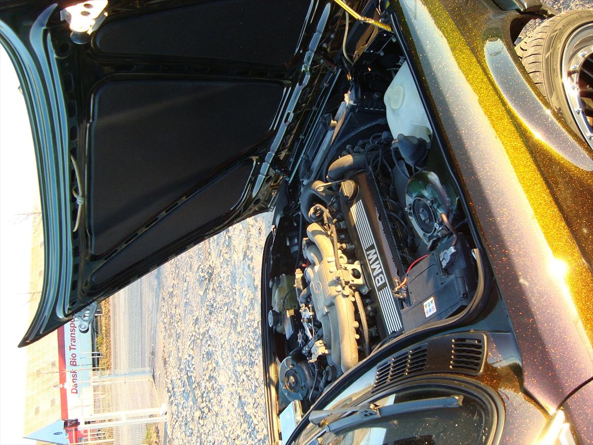 BMW E30 Cabriolet Shadowline billede 11