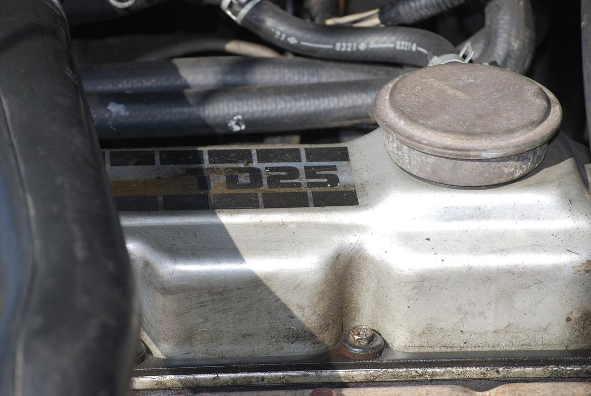 Nissan King Cab TD 25 HillBilly billede 15