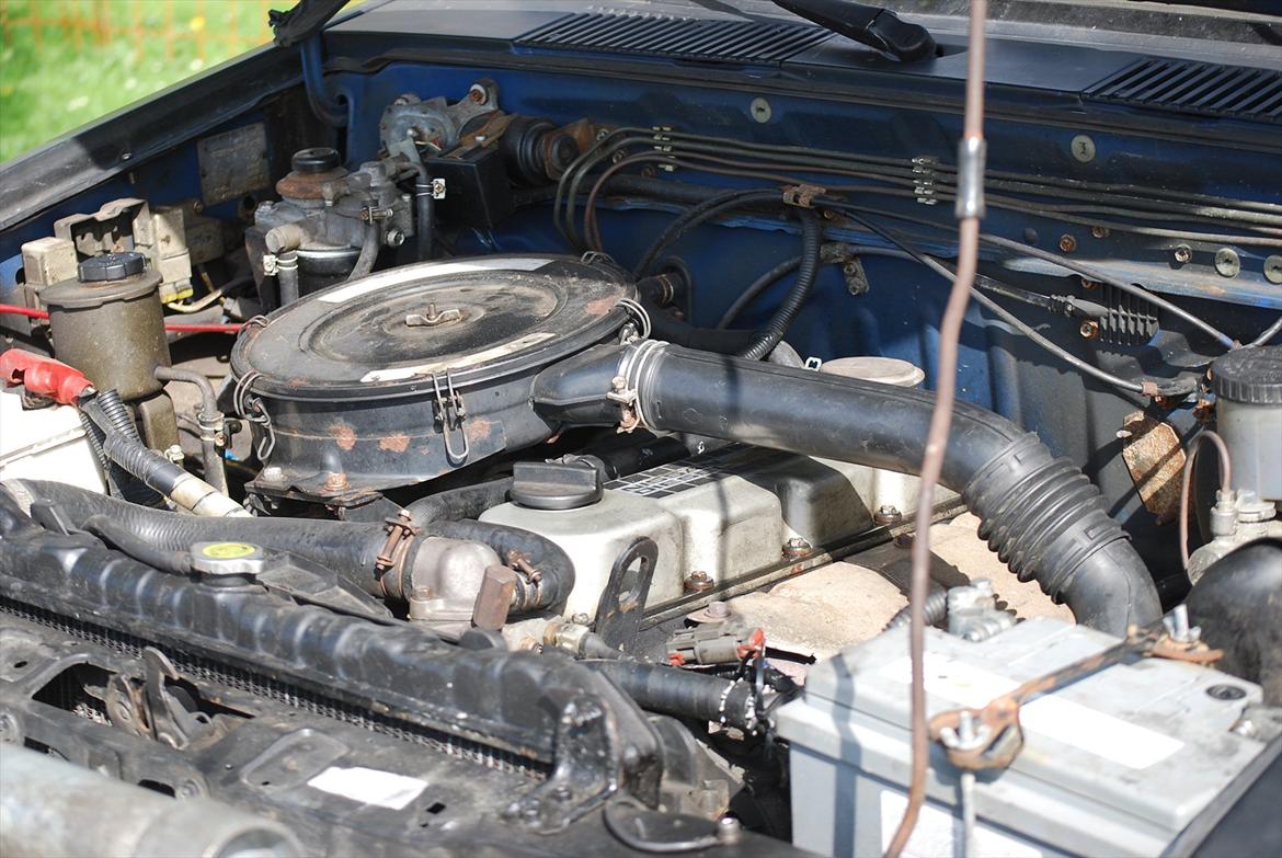 Nissan King Cab TD 25 HillBilly billede 16