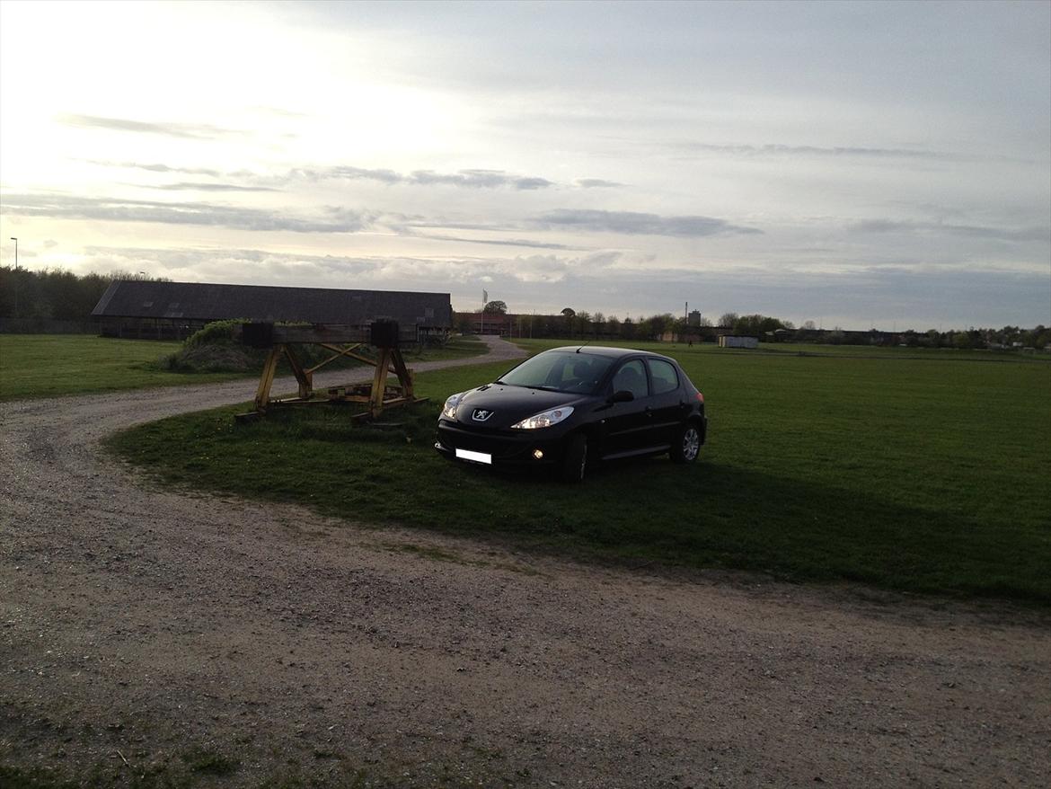 Peugeot 206 + billede 9