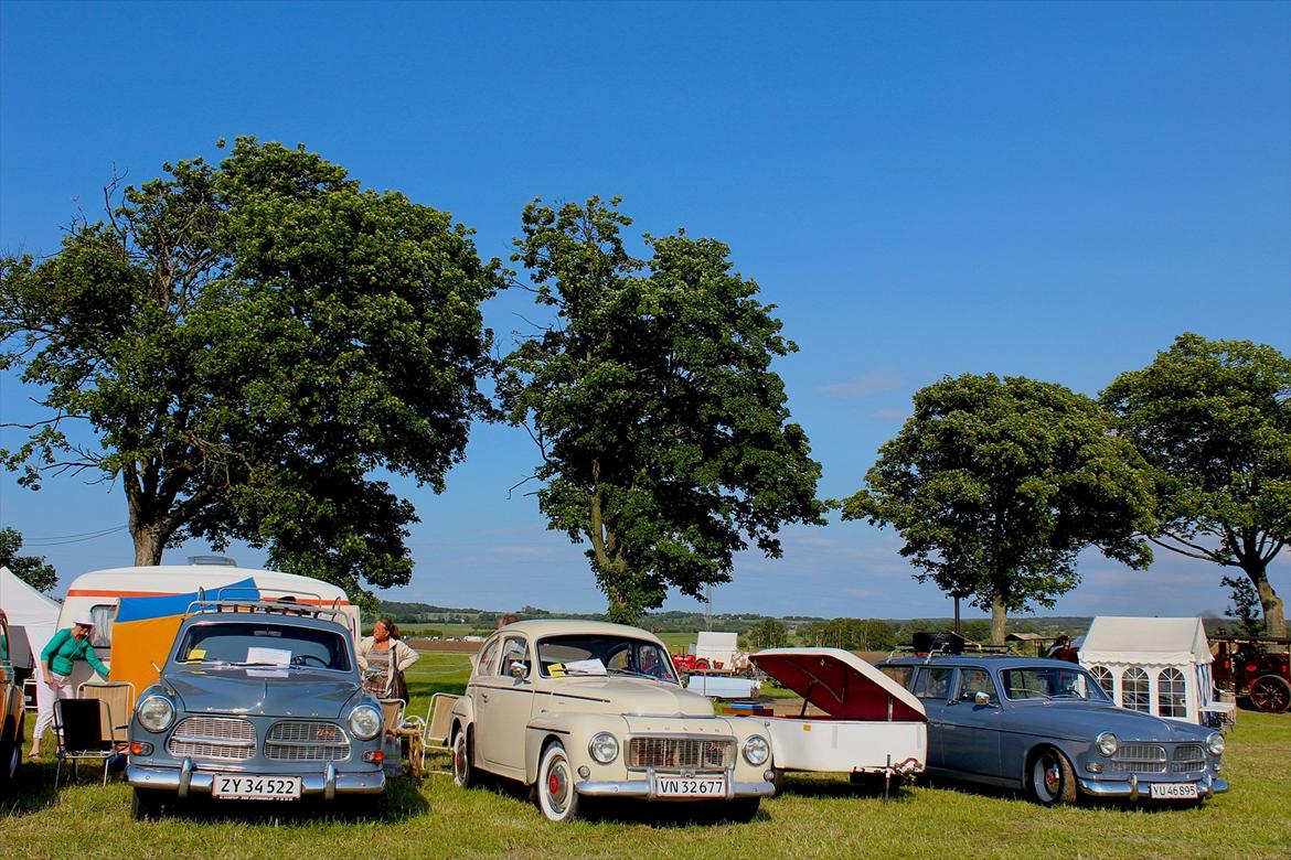 Volvo         Amazon Kombi 221  - Familien samlet i græsted billede 8