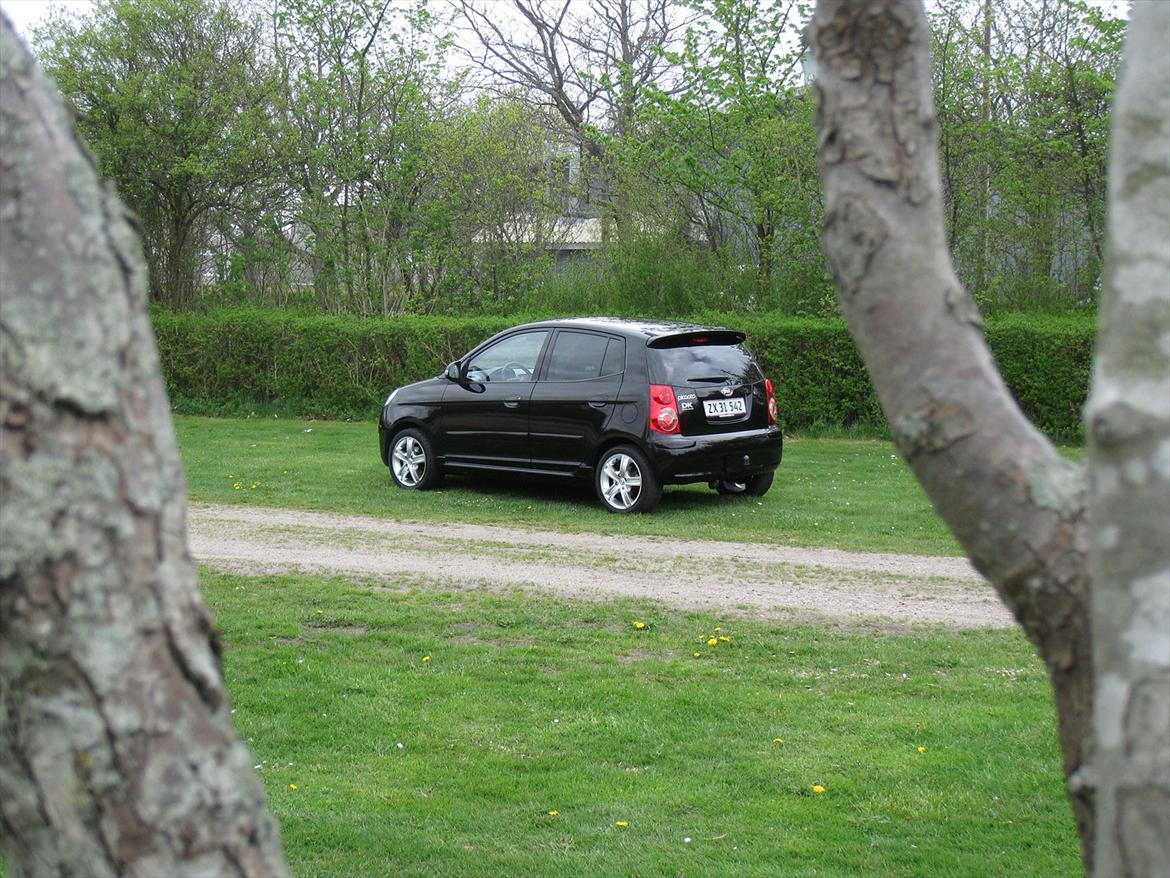 Kia Picanto 1.1 Exclusive billede 12