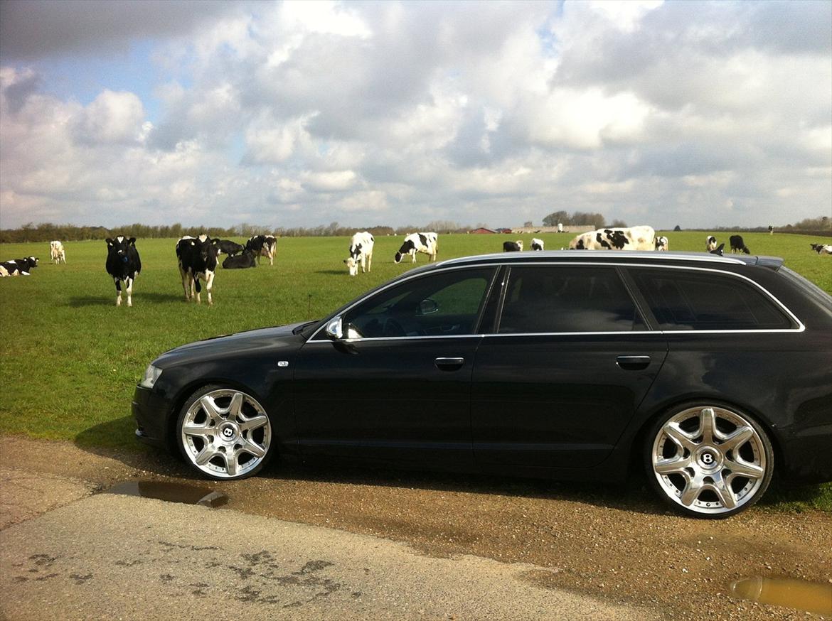 Audi A6 4F 2,7 TDI S-LINE billede 17