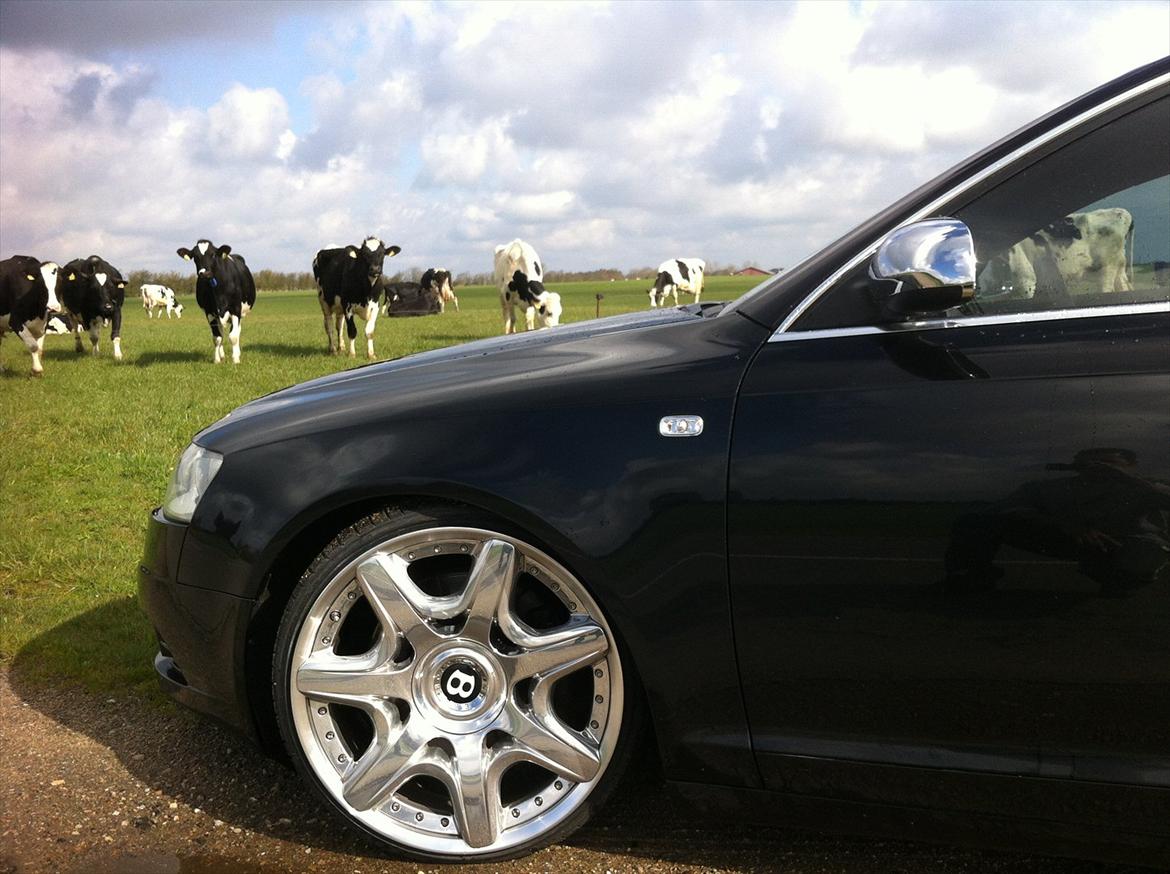 Audi A6 4F 2,7 TDI S-LINE billede 18