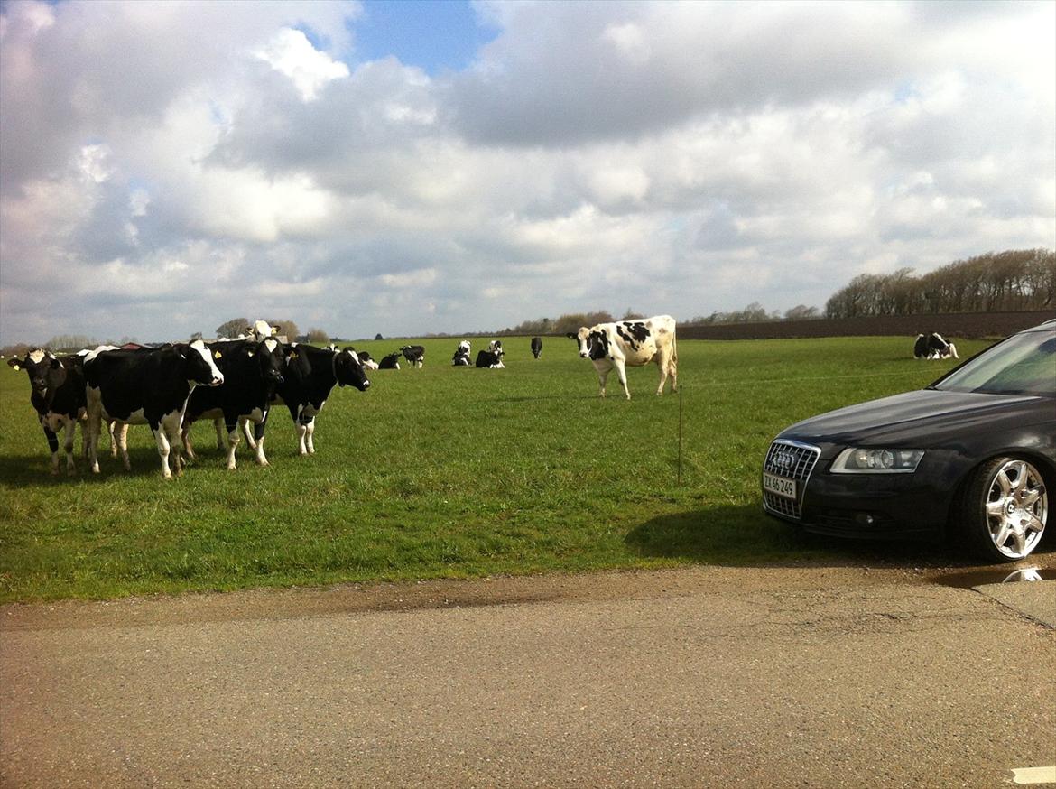 Audi A6 4F 2,7 TDI S-LINE billede 19