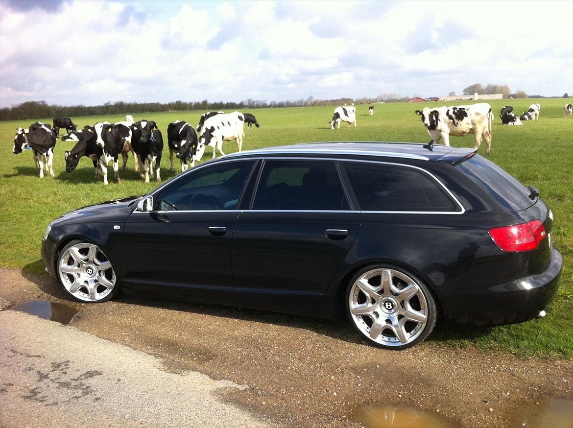 Audi A6 4F 2,7 TDI S-LINE billede 20