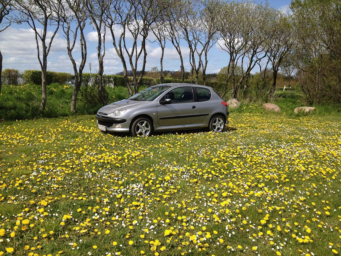 Peugeot 206 S16 *solgt* billede 1