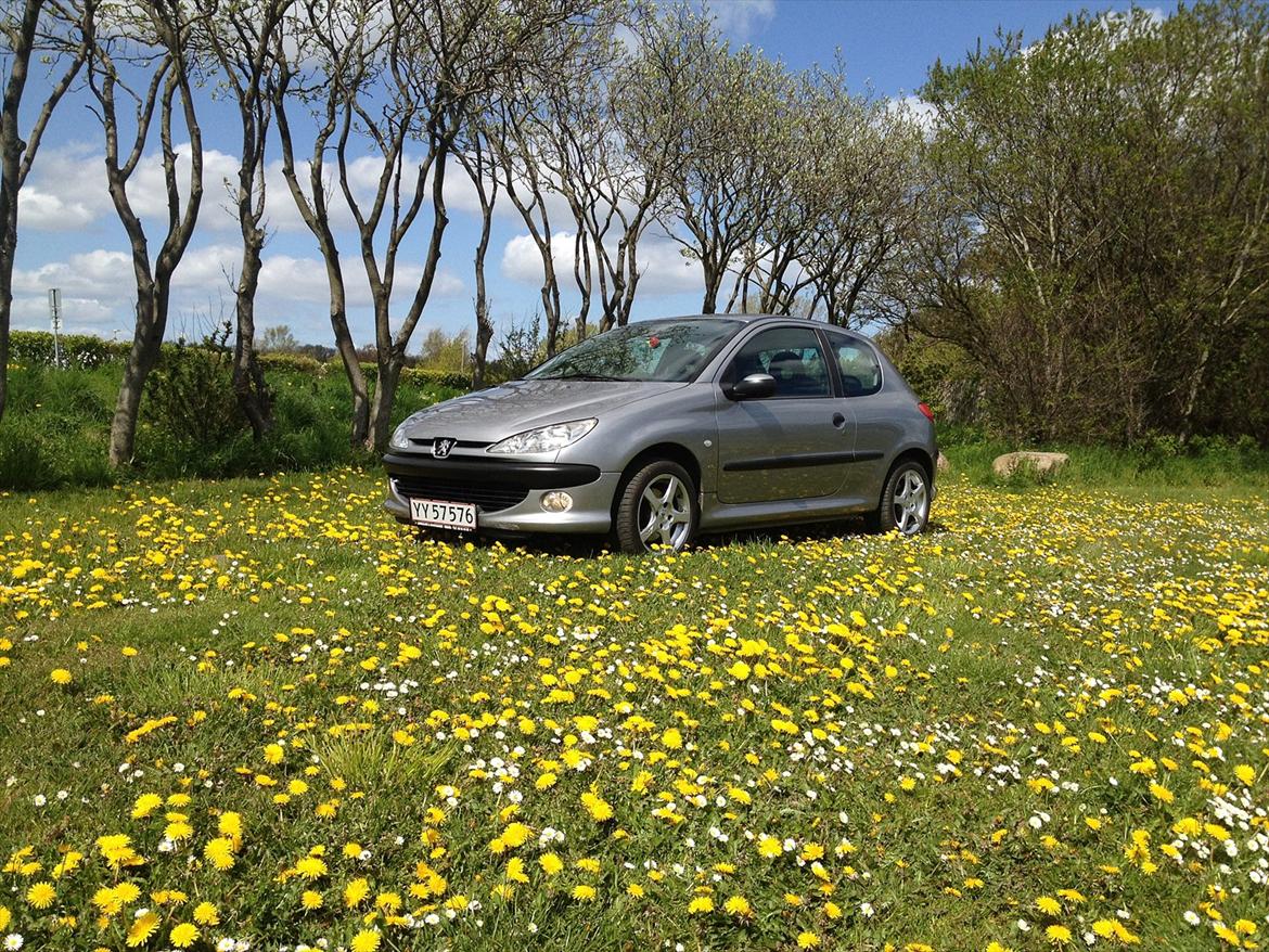 Peugeot 206 S16 *solgt* billede 2