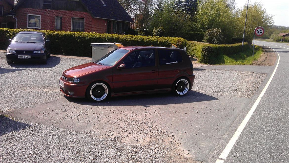 VW polo 6n billede 2