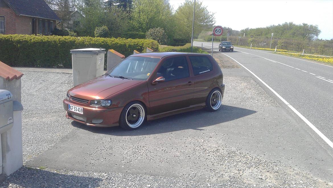 VW polo 6n billede 12