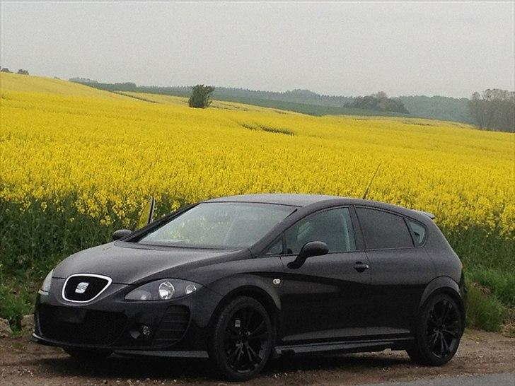 Seat Leon Cobra stylance billede 6