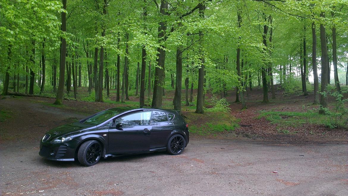 Seat Leon Cobra stylance billede 3