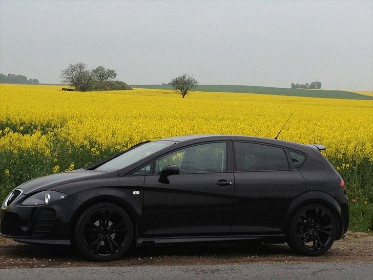 Seat Leon Cobra stylance billede 7